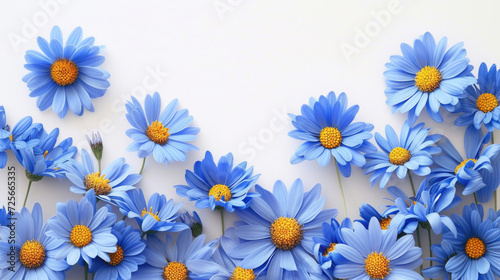A graceful border of vibrant blue daisies on a pure white background