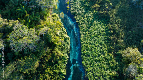Foto rio sucuri bonito mato grosso do sul
