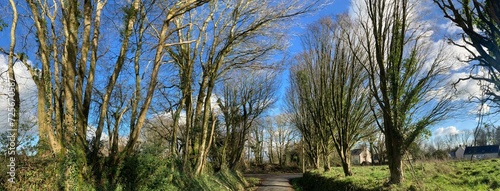 la campagne fin novembre 2023 à Barré-Nevez Finistère Cornouaille Bretagne France	