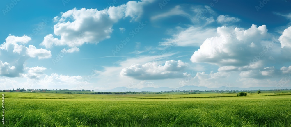 green fields and dense clouds, hot sun with bright blue skies green fields and dense clouds, hot sun with bright blue skies