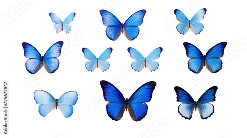 set of blue butterflies isolated on transparent and white background.PNG image