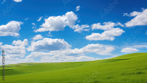Green hills with blue sky. Idyllic nature scene of rolling green hills.