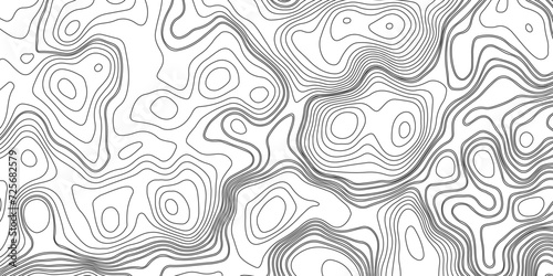 Abstract Line Contour Topography Pattern in Black and White