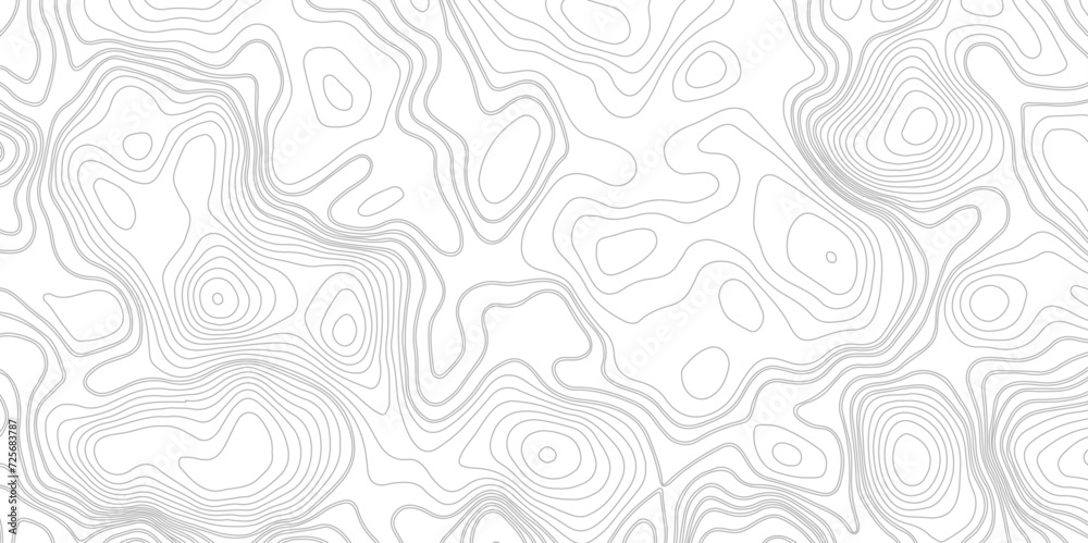 Abstract Line Contour Topography Pattern in Black and White