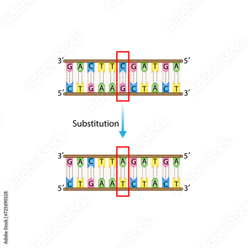 Substitution mutation, error during DNA replication, one nucleotide is replaced by a different nucleotide. Genomics, Scientific design, Vector illustration.