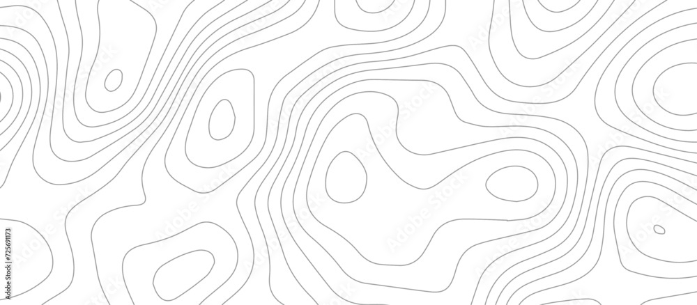 Abstract wave paper curved reliefs background .gradient multicolor wave curve lines banner background design .topographic contours map background .Vector geographic contour map.