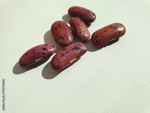 The Seeds Of Life