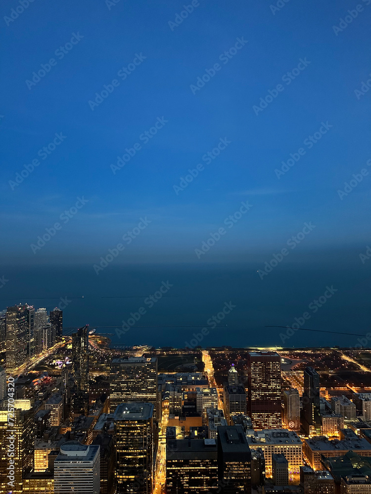 view of the Chicago city