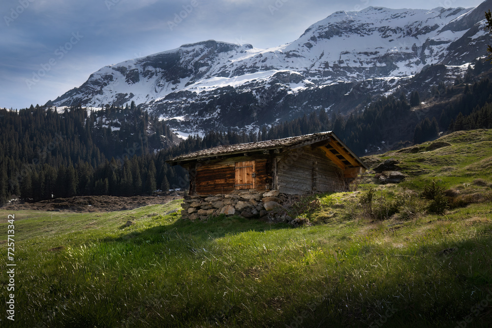 Buildings - Chalet,  Murren, Bernese Oberland, Switzerland.jpg