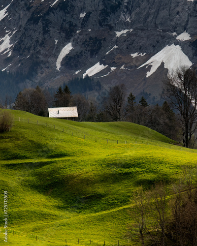 Mountains, Bort, Grindelwald, Bernese Oberland, Switzerland (4).jpg