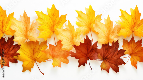 Autumn creative composition. Dried leaves on white background. Fall concept. Autumn background. Flat lay, top view, copy space.