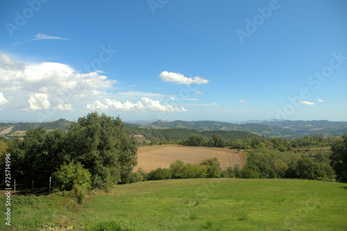 landscape with grass