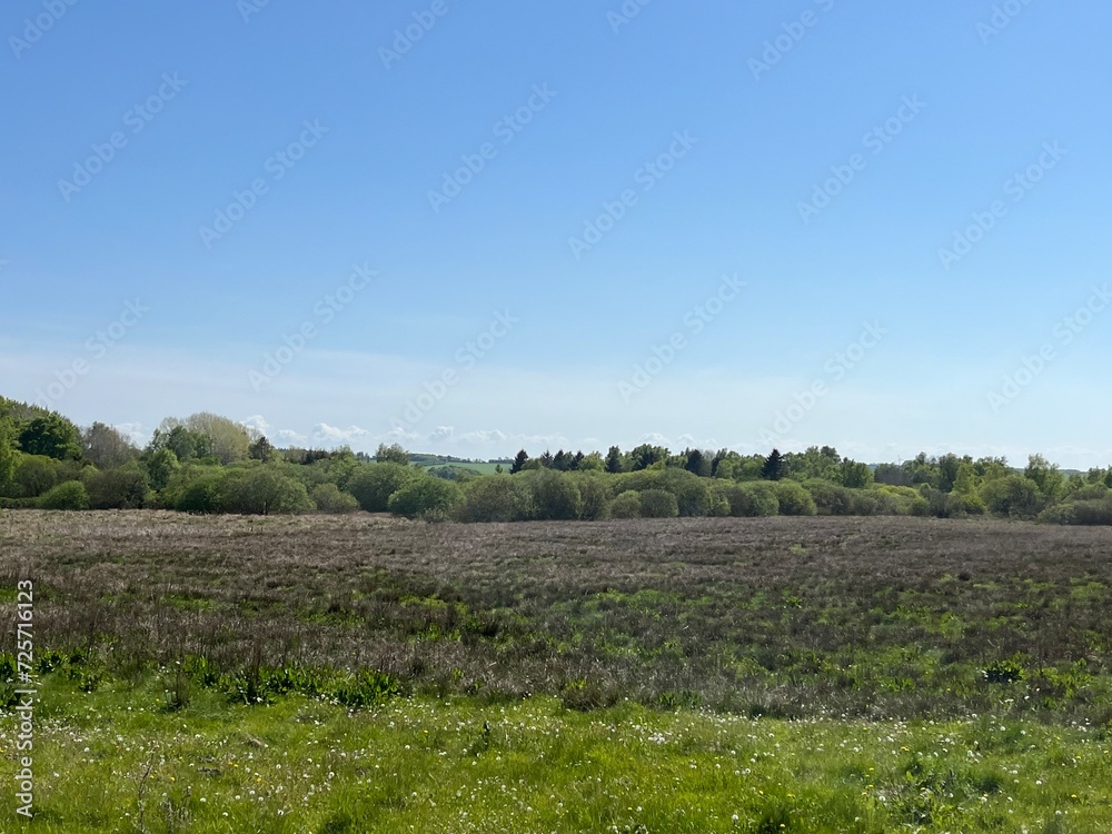 Obraz premium landscape with a field
