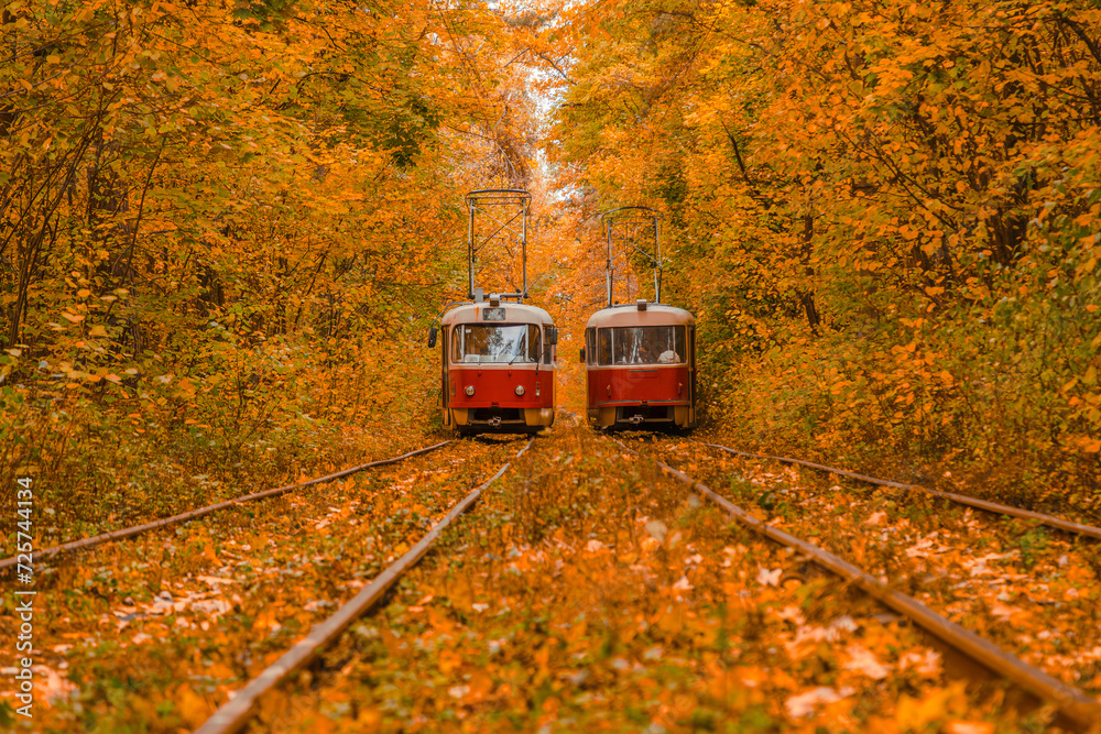 Autumn forest through which the tram travels, Kyiv and rails