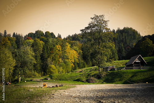 Place for rest in Biala Woda nature reserve in autumn, Pieniny Mountains, Poland. © ffolas