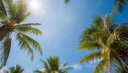 a view of the sky with coconut trees in bright sunshine look up to the top