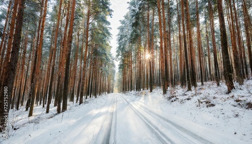 winter panorama on the road through coniferous forest