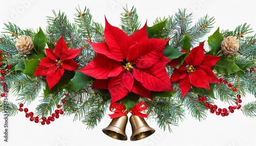 christmas tree branches bells and red poinsettia flower in a holiday line arrangement isolated on white or transparent background