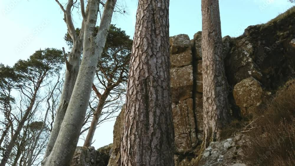 View of beautiful countryside in the Scottish highland with mountains, trees and sea