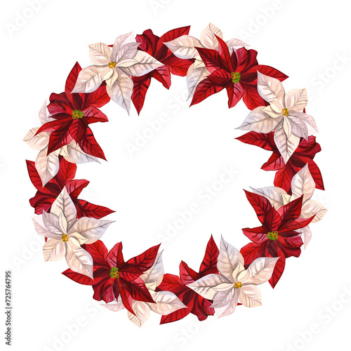 Wreath of Christmas flowers. White and red poinsettia. Botanical watercolor illustration for New Year background design, textile, card, sticker, poster