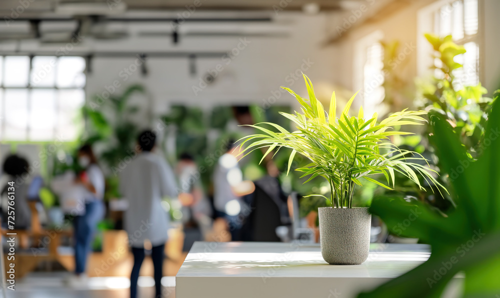 Fototapeta premium Green plant in pot inside work studio with blurred people