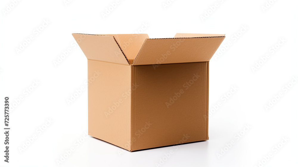 Open Cardboard Box isolated on white background