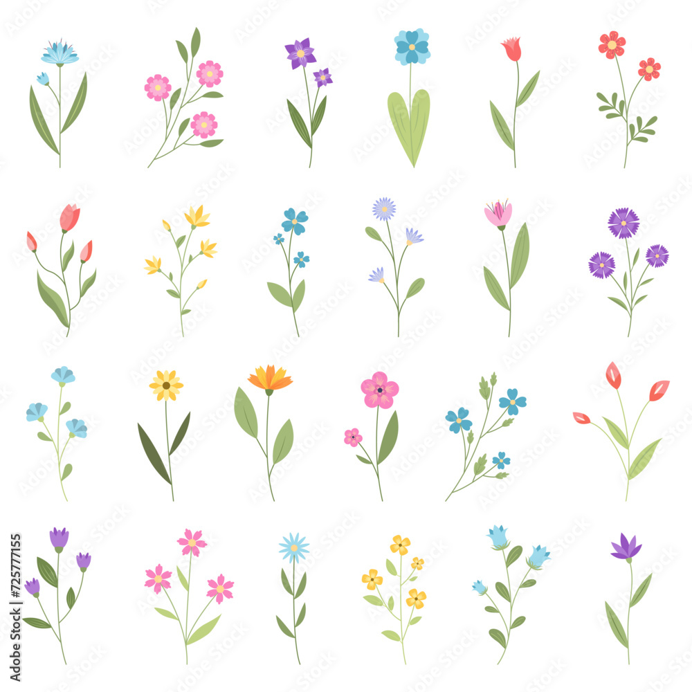 A set of summer and spring flowers. Vector illustration. A set of summer and spring flowers. Vector illustration.