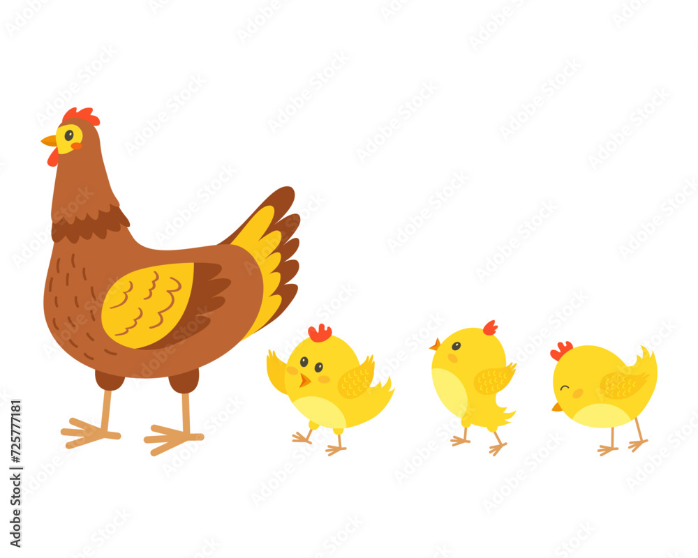 The chickens follow the chicken. Chicken family. Vector illustration.