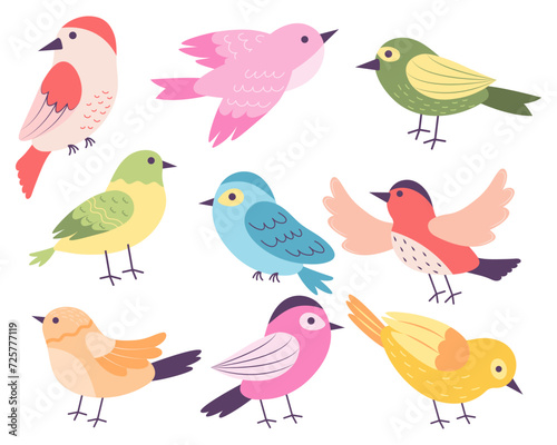 Set of colorful birds. Vector illustration.