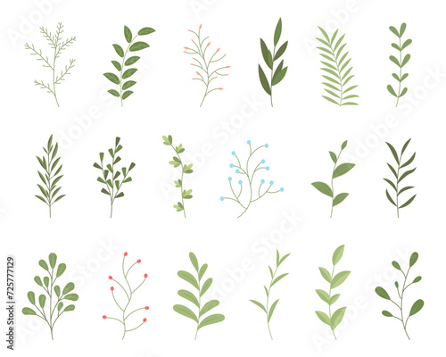Green branches with decoration leaves. Summer and spring plants. Vector illustration.