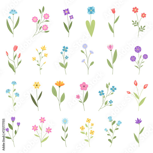 A set of summer and spring flowers. Vector illustration.