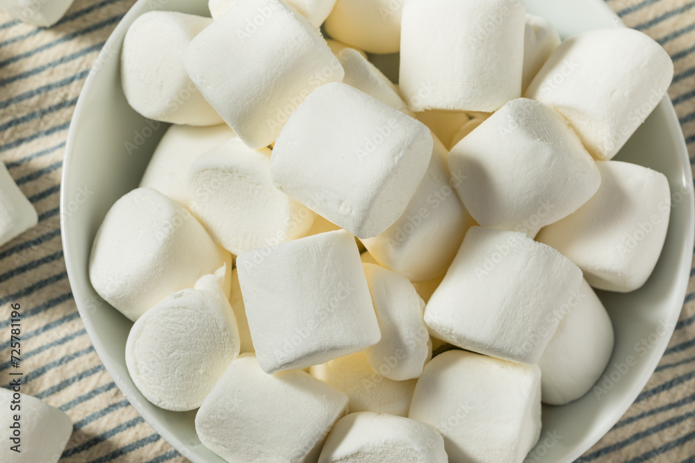 Organic Dry Big White Marshmallows Organic Dry Big White Marshmallows