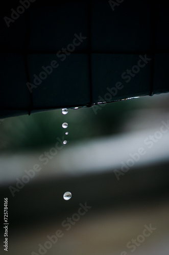 close up shot of rain drops