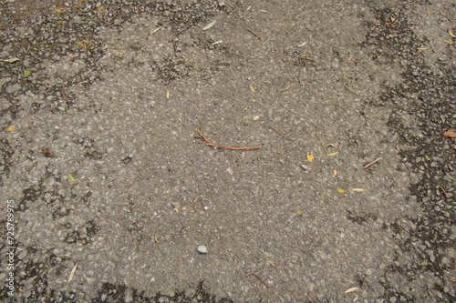 asphalt in nature on a route