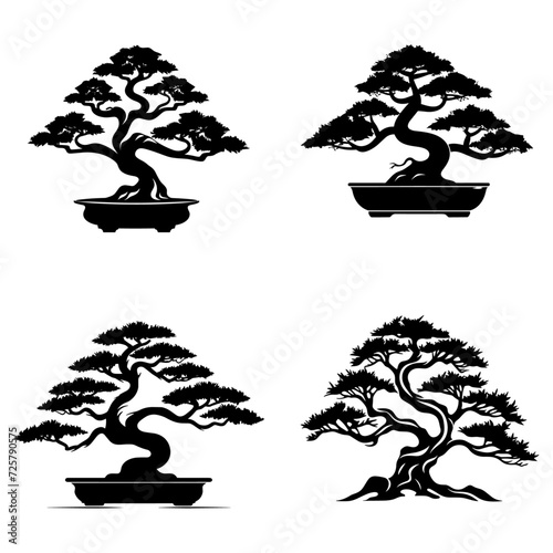 Bonsai Roots icon style silhouette in black color on white background