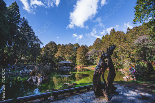 Sister Water Pond the Alishan Nature Trail, adding a touch of allure to the Alishan National Scenic Areaa mountain resort and nature reserve nestled in Alishan Township photo