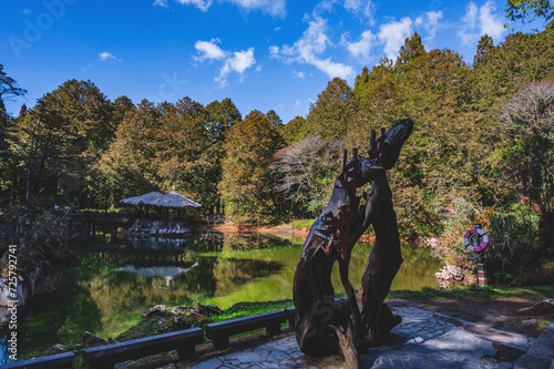 Sister Water Pond the Alishan Nature Trail, adding a touch of allure to the Alishan National Scenic Areaa mountain resort and nature reserve nestled in Alishan Township photo