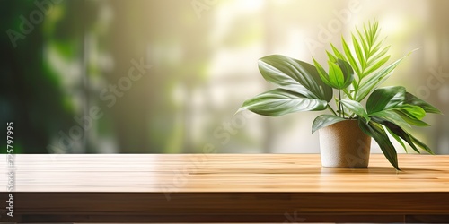 Modern eco-friendly workspace with stylish table  green houseplant  and natural lighting  copy space.
