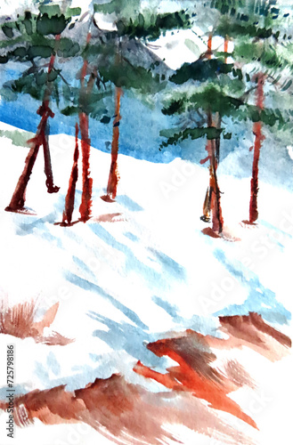 sunny winter day in pine forest, watercolor painting