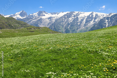 Le plateau d'Emparis est un plateau situé à plus de 2 000 m d'altitude sur les départements de l'Isère et des Hautes-Alpes. Appartenant au massif des Arves dans les Alpes françaises, face aux Ecrins