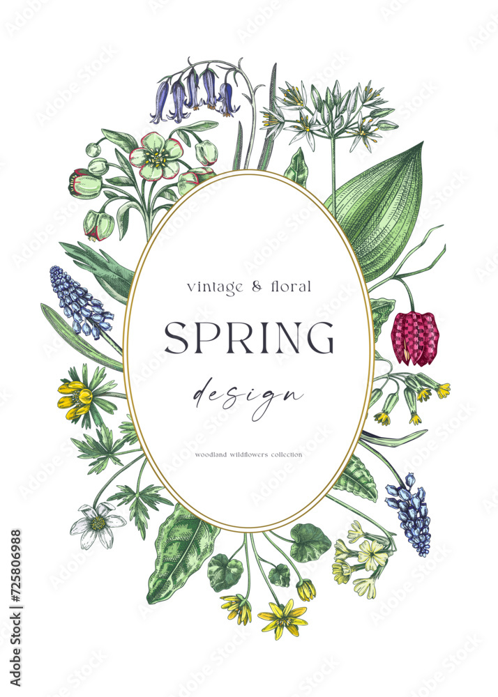Delicate spring wreath. Woodland wild flower sketches. Floral background. Wildflowers in color. Elegant greeting card, invitation design template. Hand drawn vector illustration, NOT AI