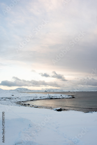 Vertical landscape with snow covered beach, overlooking the chilly ocean - Greenland