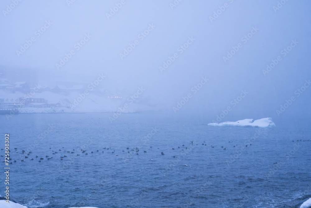 Obraz premium heavy snowstorm, blizzard, with a herd of birds resting on the cold freezing ocean, with icebergs in a cloudy day.