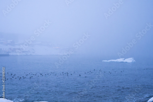 heavy snowstorm, blizzard, with a herd of birds resting on the cold freezing ocean, with icebergs in a cloudy day.