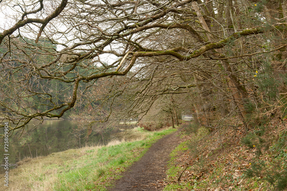 Naklejka premium La rivière du Trieux près de Pontrieux - Bretagne France