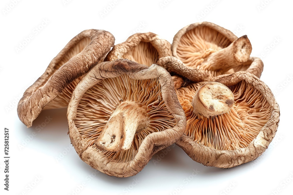 Shiitake mushrooms dried white background Shiitake mushrooms dried white background