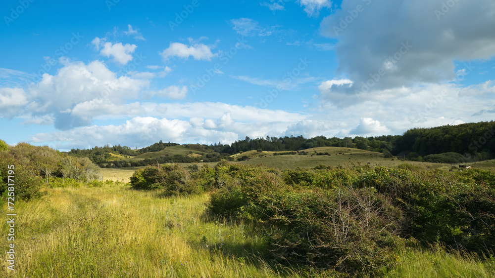 Landscape at the Limfjord in Denmark