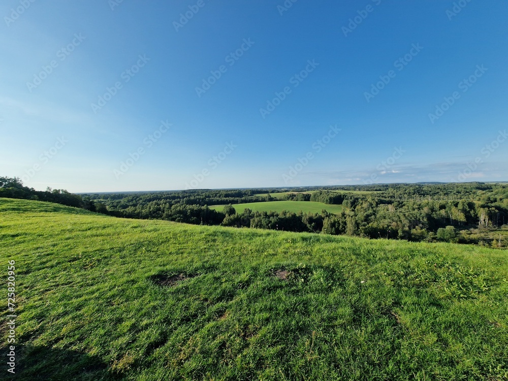 field and blue sky