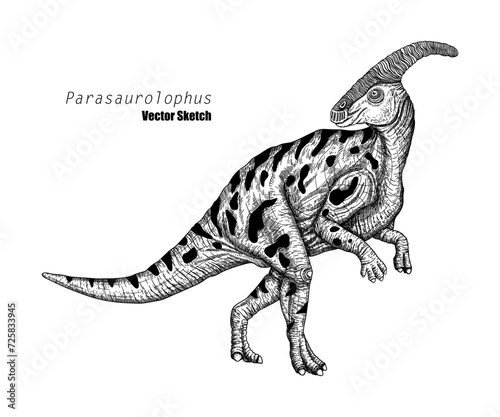 Parasaurolophus. Dinosaur sketch drawing. Black and white. Hand drawn vector art. line art