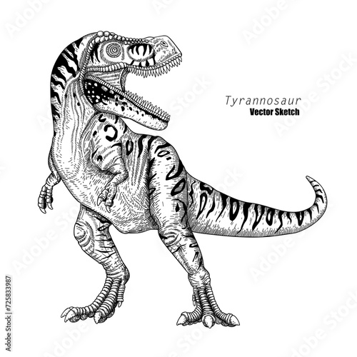 Tyrannosaur. Dinosaur sketch drawing. Black and white. Hand drawn vector art. line art